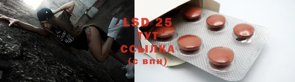 PSILOCYBIN Алексеевка