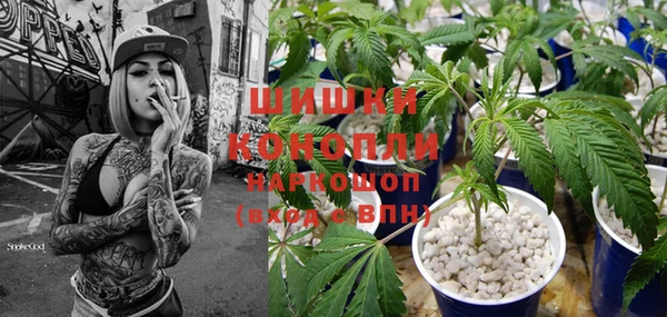 PSILOCYBIN Алексеевка